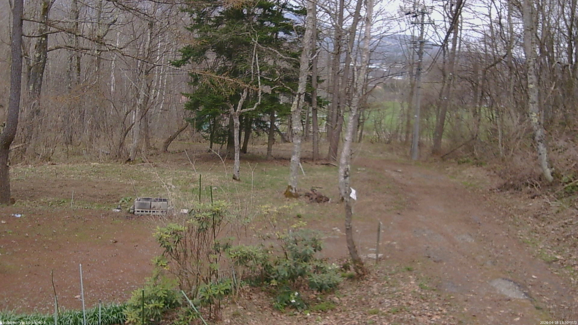長野県菅平高原 ゆたか山荘 坂上 2026/04/18 13:30
