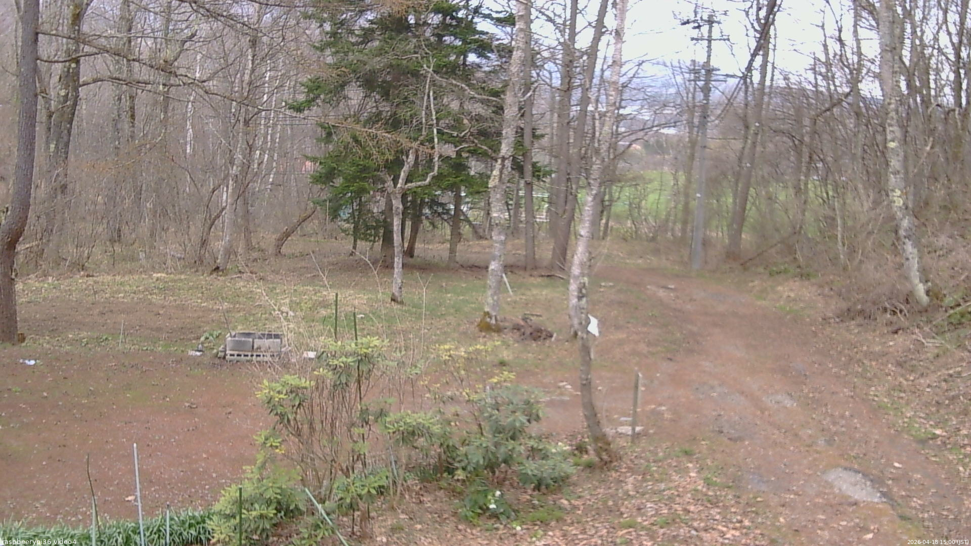 長野県菅平高原 ゆたか山荘 坂上 2026/04/18 15:00