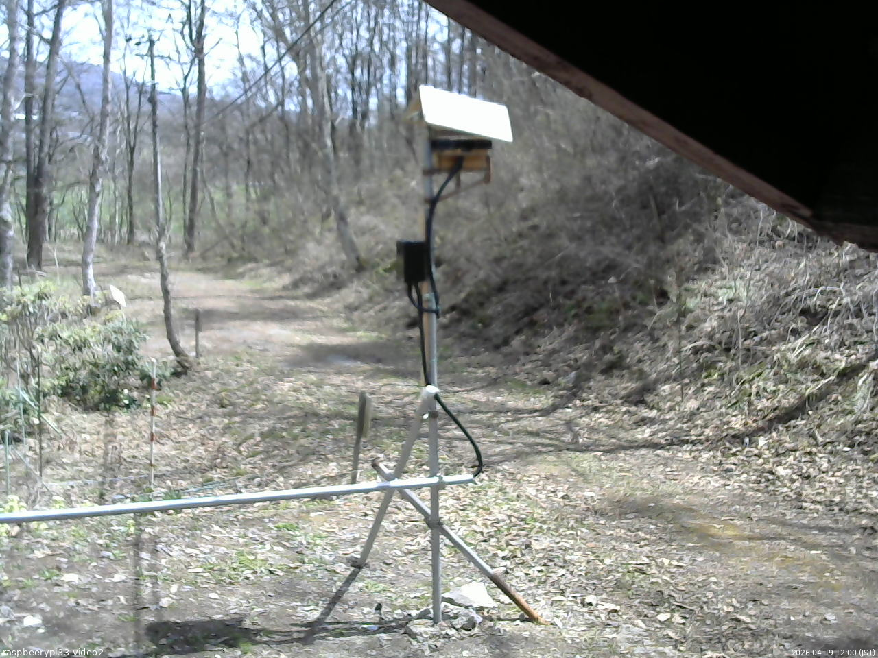 長野県菅平高原 ゆたか山荘 南側 2026/04/19 12:00