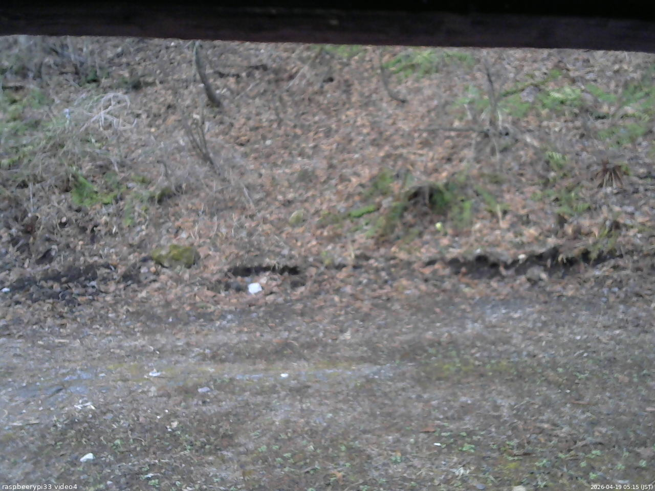 長野県菅平高原 ゆたか山荘 東側(坂下) 2026/04/19 05:15