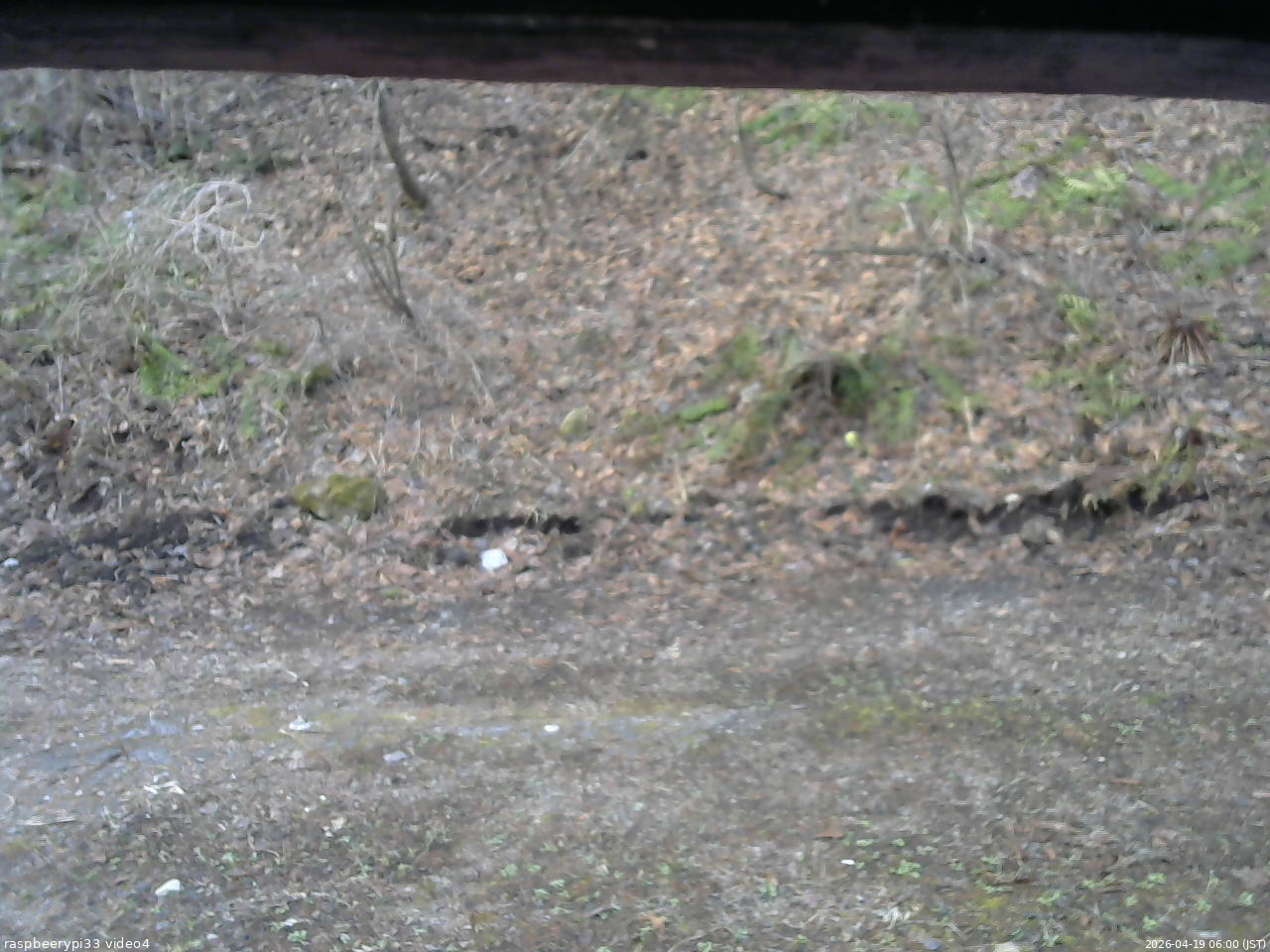 長野県菅平高原 ゆたか山荘 東側(坂下) 2026/04/19 06:00