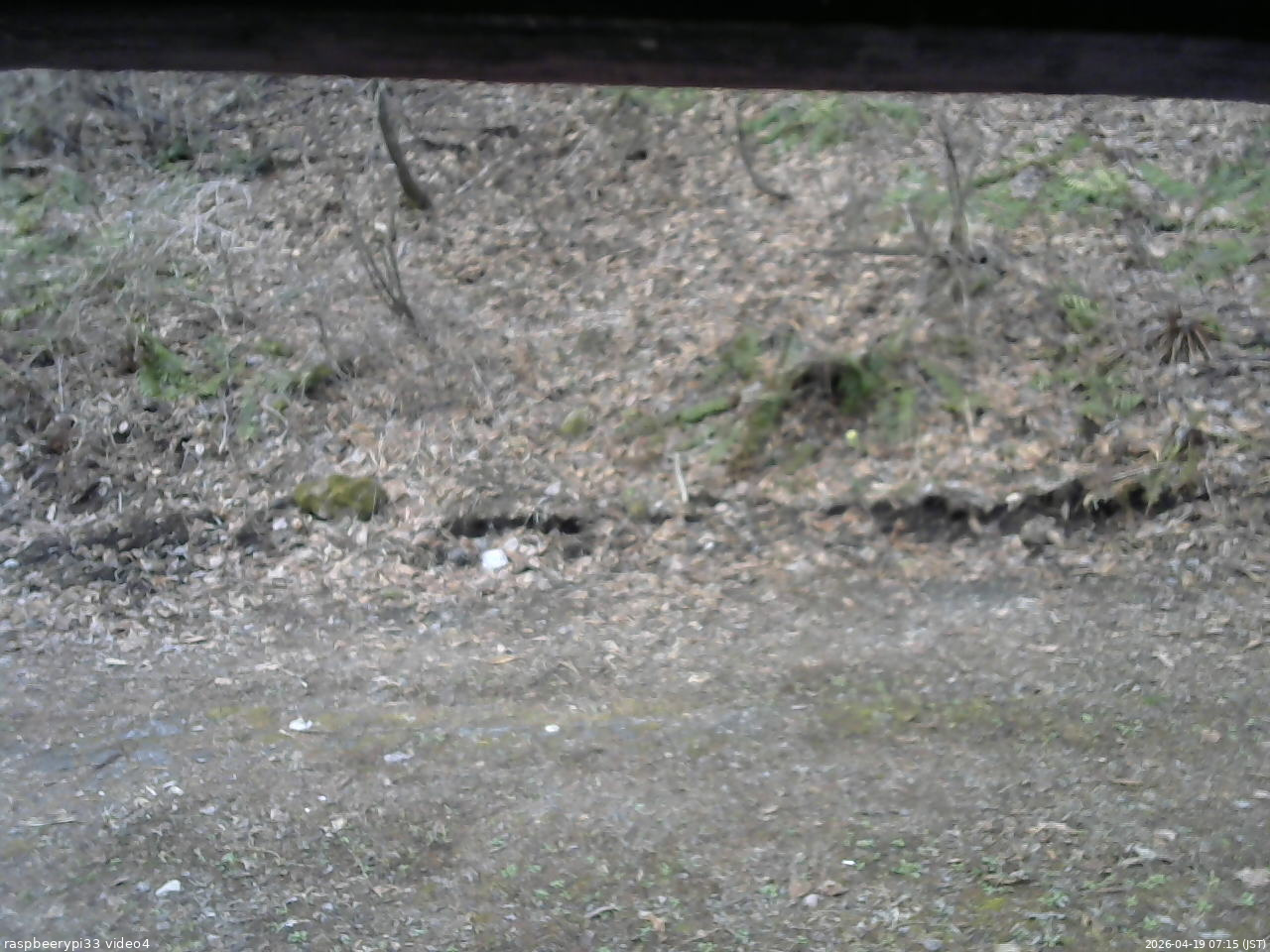 長野県菅平高原 ゆたか山荘 東側(坂下) 2026/04/19 07:15