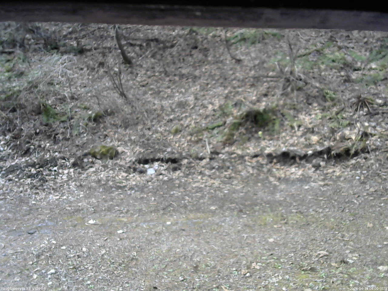 長野県菅平高原 ゆたか山荘 東側(坂下) 2026/04/19 08:00