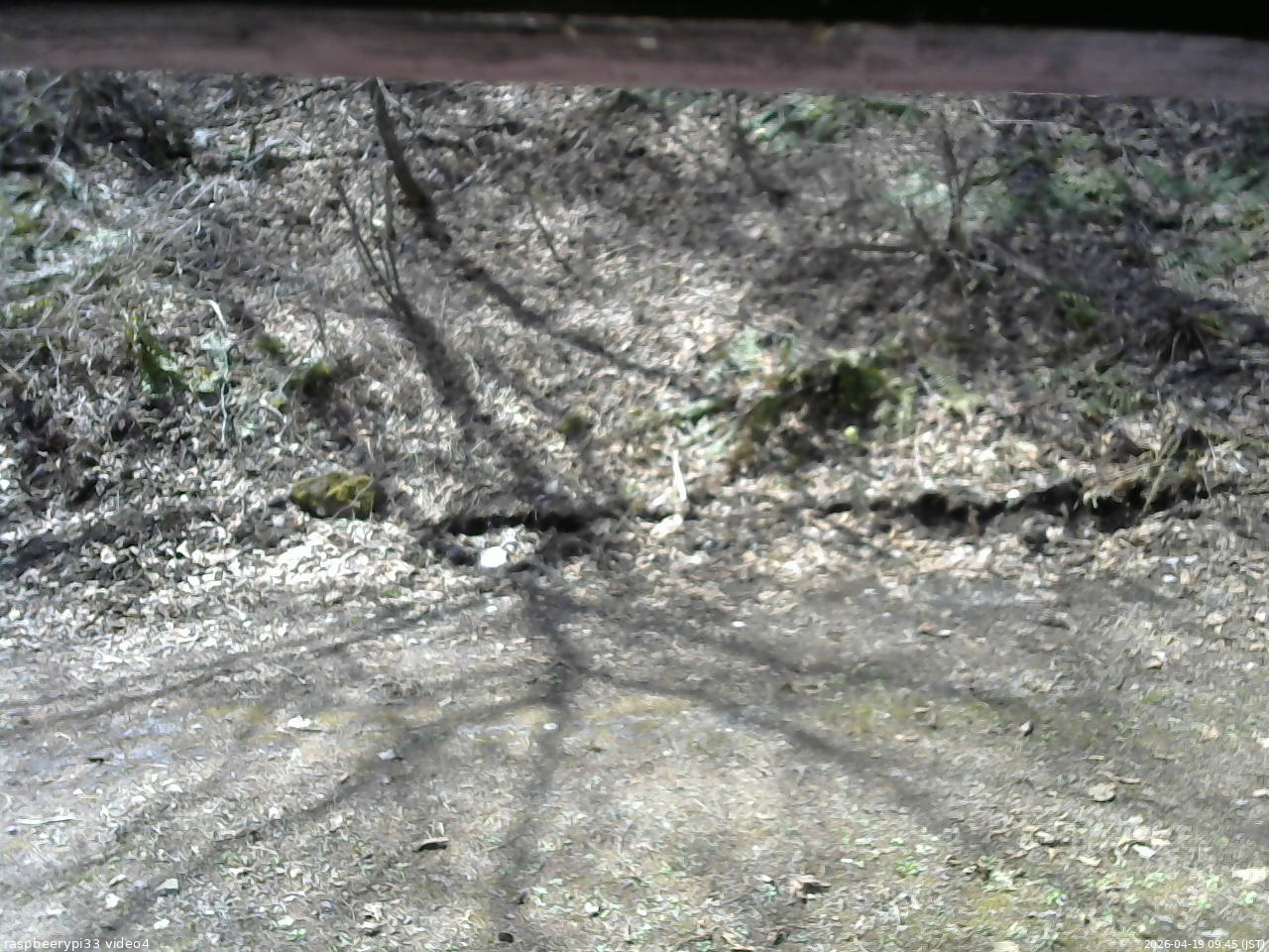 長野県菅平高原 ゆたか山荘 東側(坂下) 2026/04/19 09:45