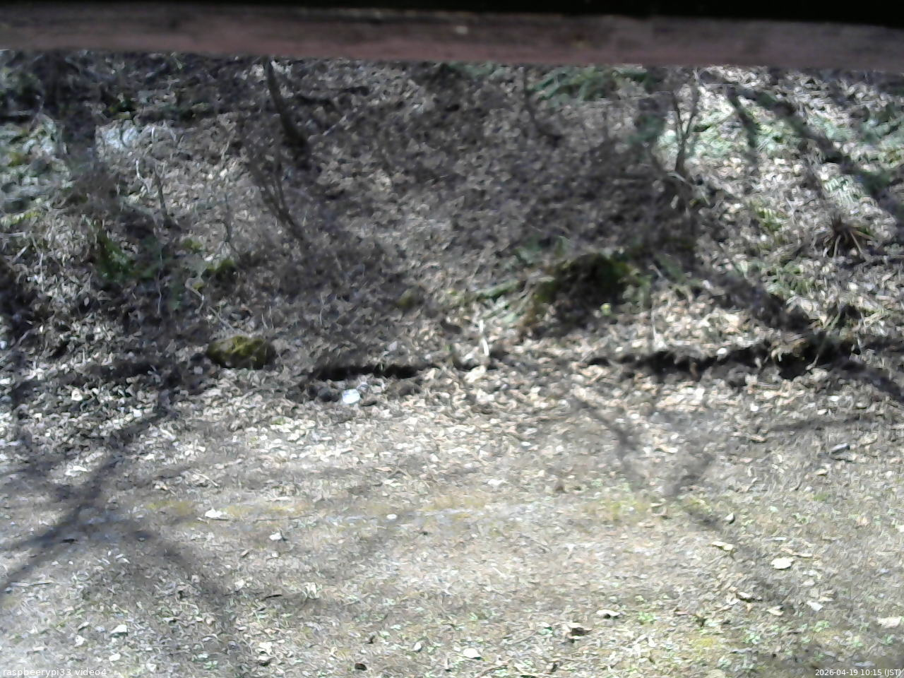 長野県菅平高原 ゆたか山荘 東側(坂下) 2026/04/19 10:15