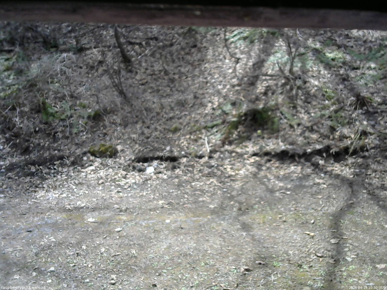 長野県菅平高原 ゆたか山荘 東側(坂下) 2026/04/19 10:30