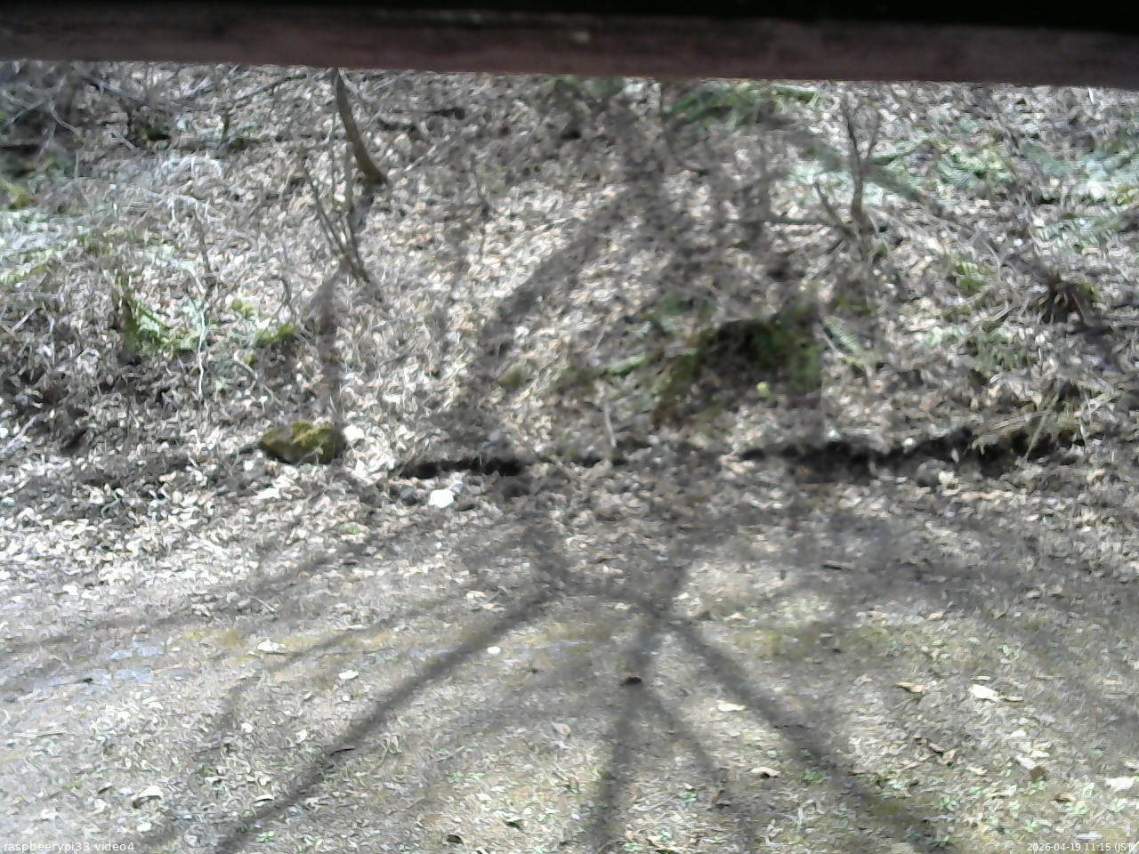 長野県菅平高原 ゆたか山荘 東側(坂下) 2026/04/19 11:15
