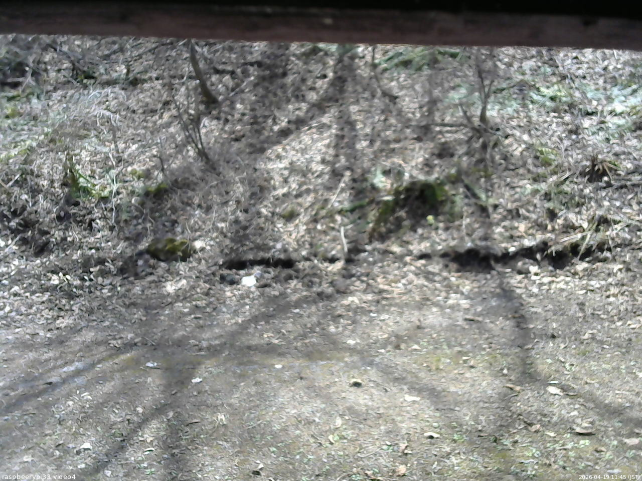 長野県菅平高原 ゆたか山荘 東側(坂下) 2026/04/19 11:45