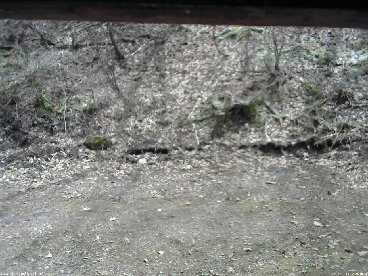 長野県菅平高原 ゆたか山荘 東側(坂下) 2026/04/19 12:30