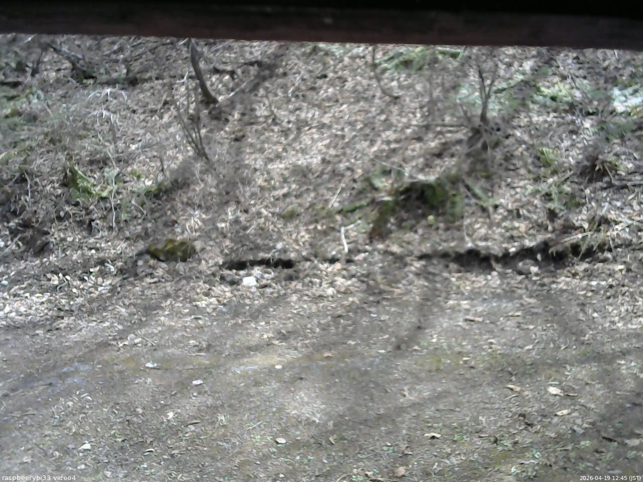 長野県菅平高原 ゆたか山荘 東側(坂下) 2026/04/19 12:45