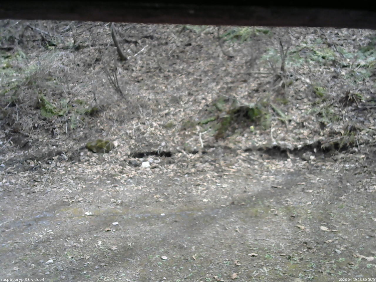 長野県菅平高原 ゆたか山荘 東側(坂下) 2026/04/19 13:30