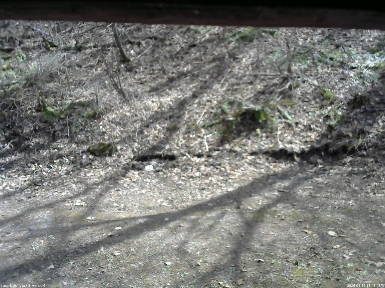 長野県菅平高原 ゆたか山荘 東側(坂下) 2026/04/19 13:45
