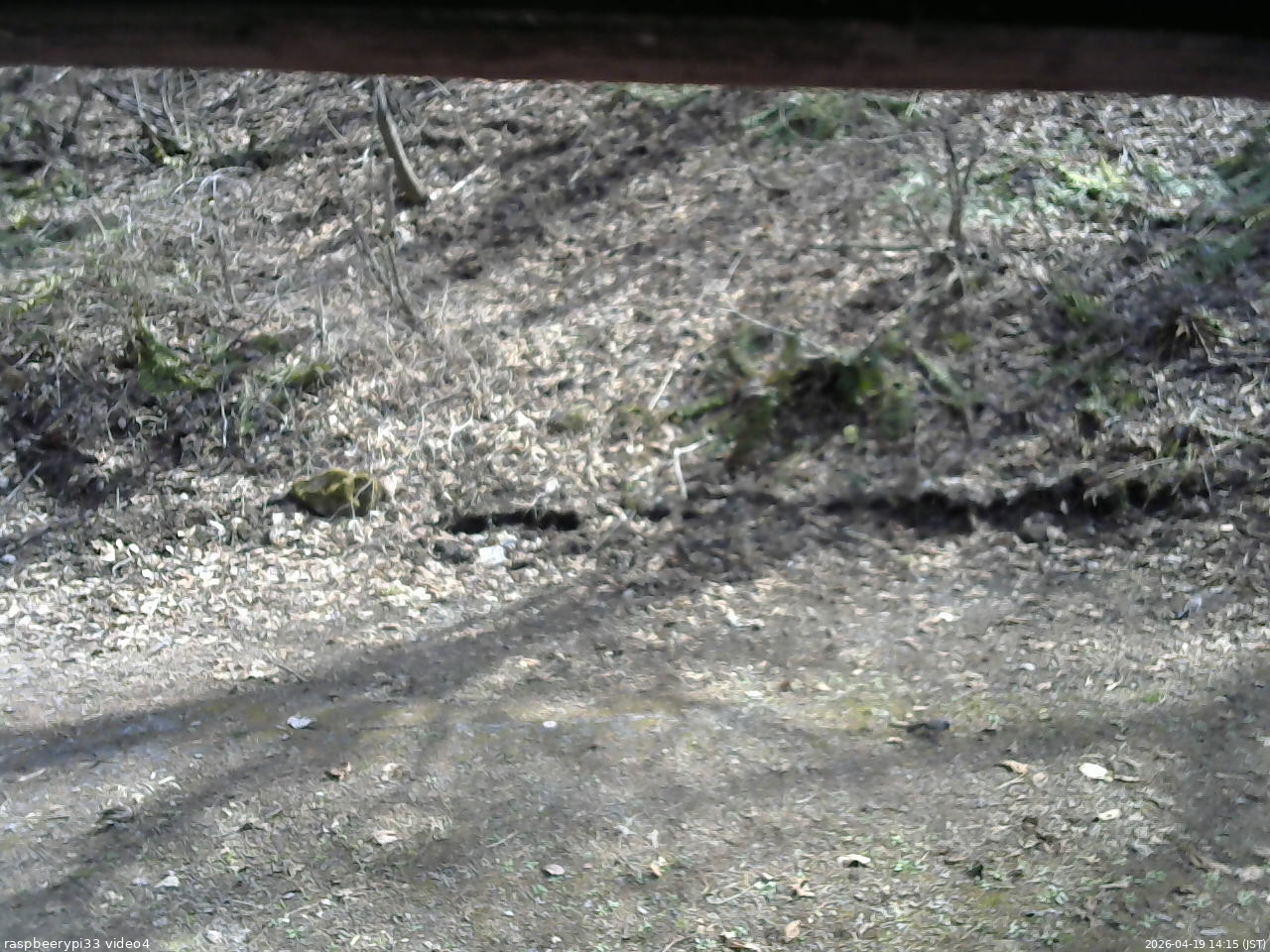 長野県菅平高原 ゆたか山荘 東側(坂下) 2026/04/19 14:15