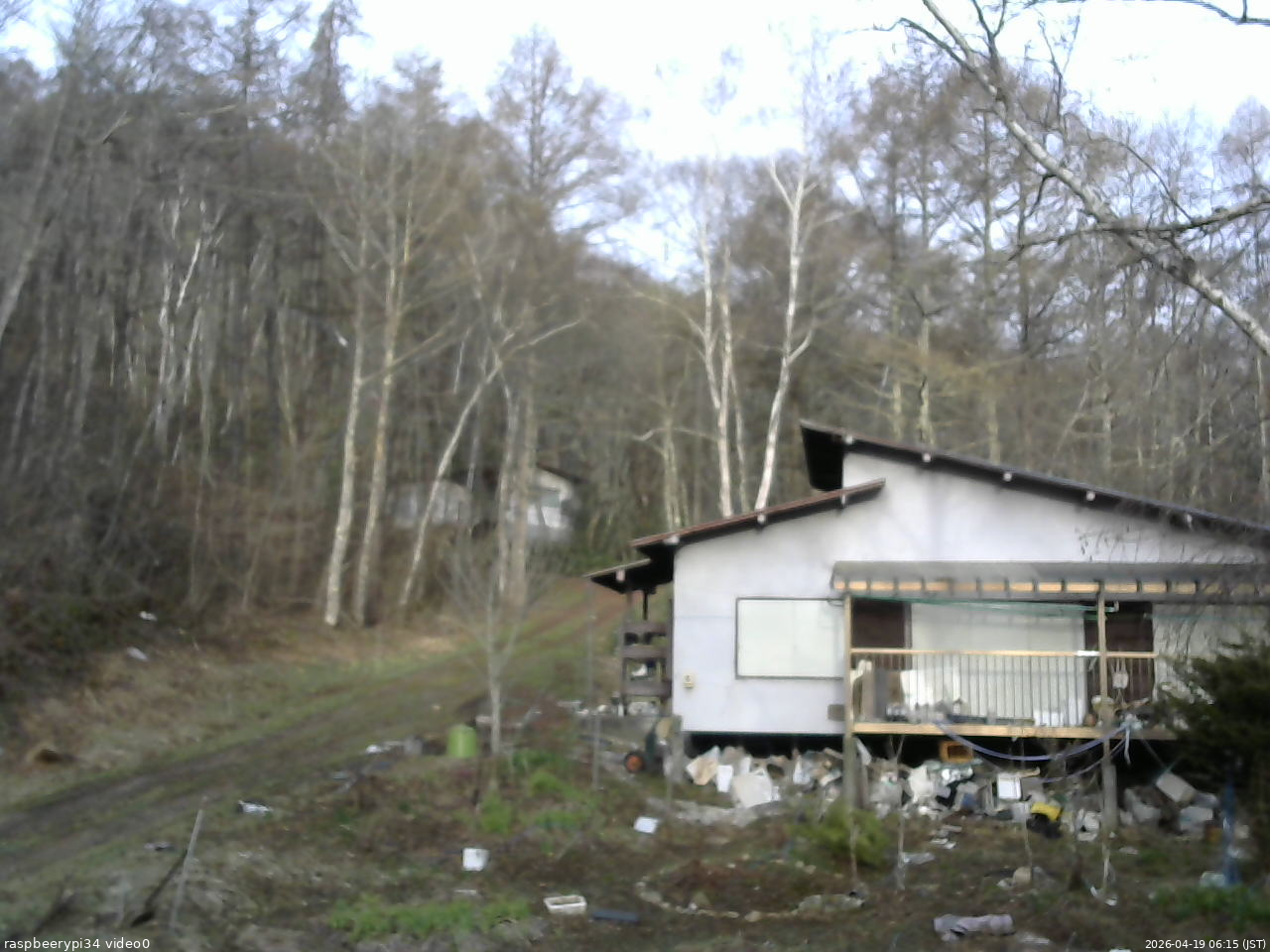 長野県菅平高原 ゆたか山荘 西側(坂上) 2026/04/19 06:15