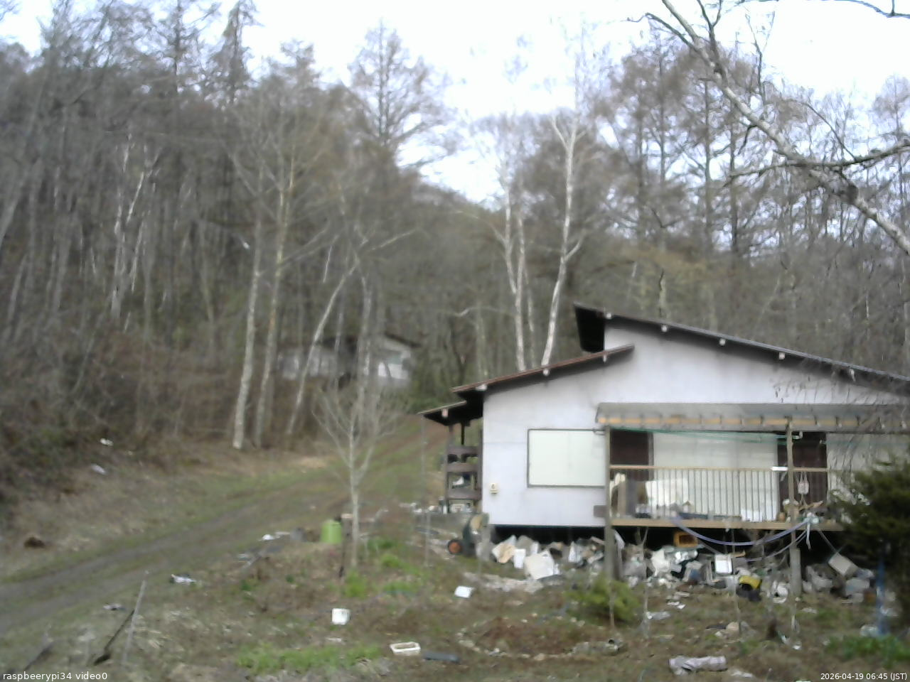 長野県菅平高原 ゆたか山荘 西側(坂上) 2026/04/19 06:45
