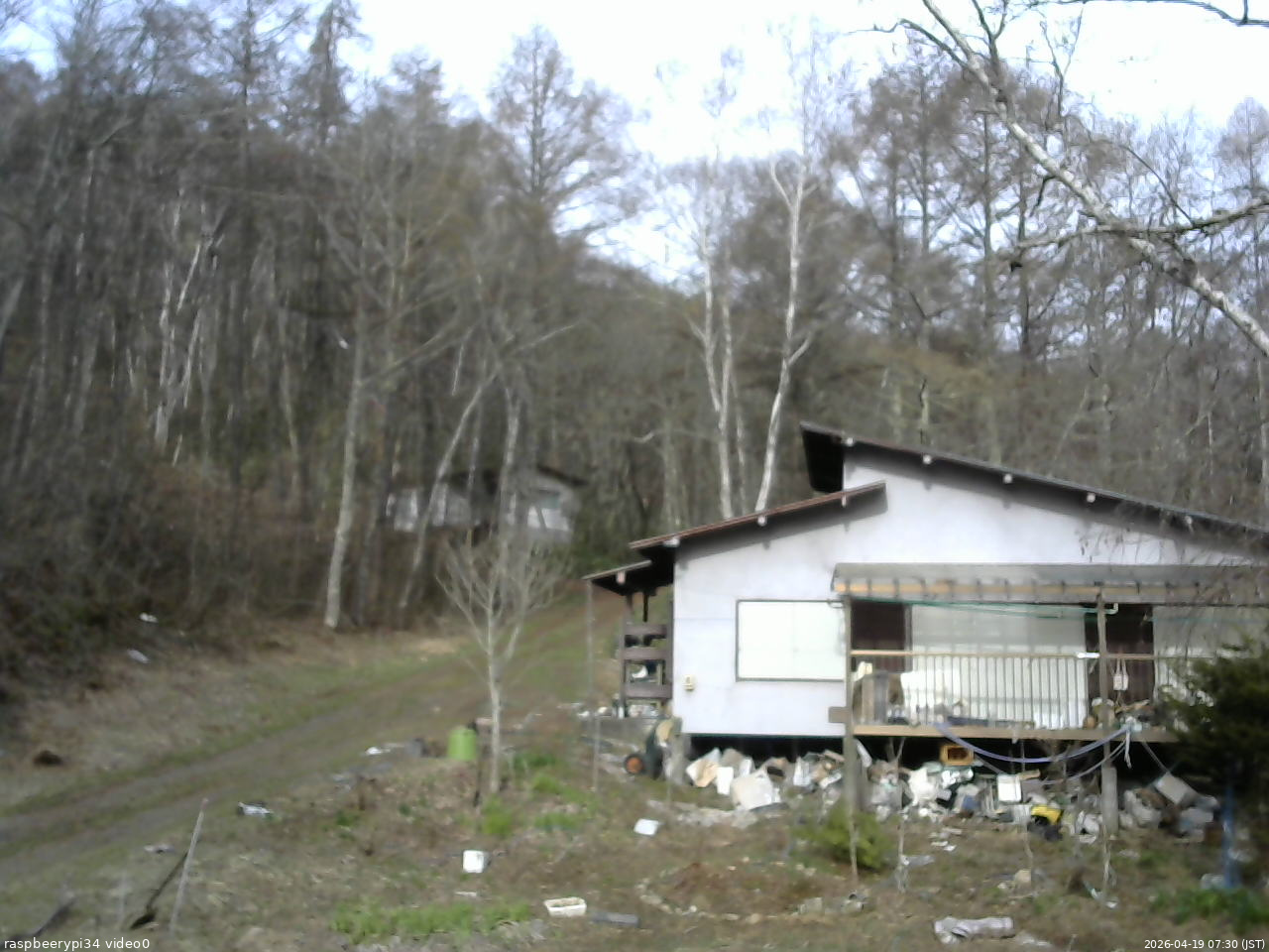 長野県菅平高原 ゆたか山荘 西側(坂上) 2026/04/19 07:30
