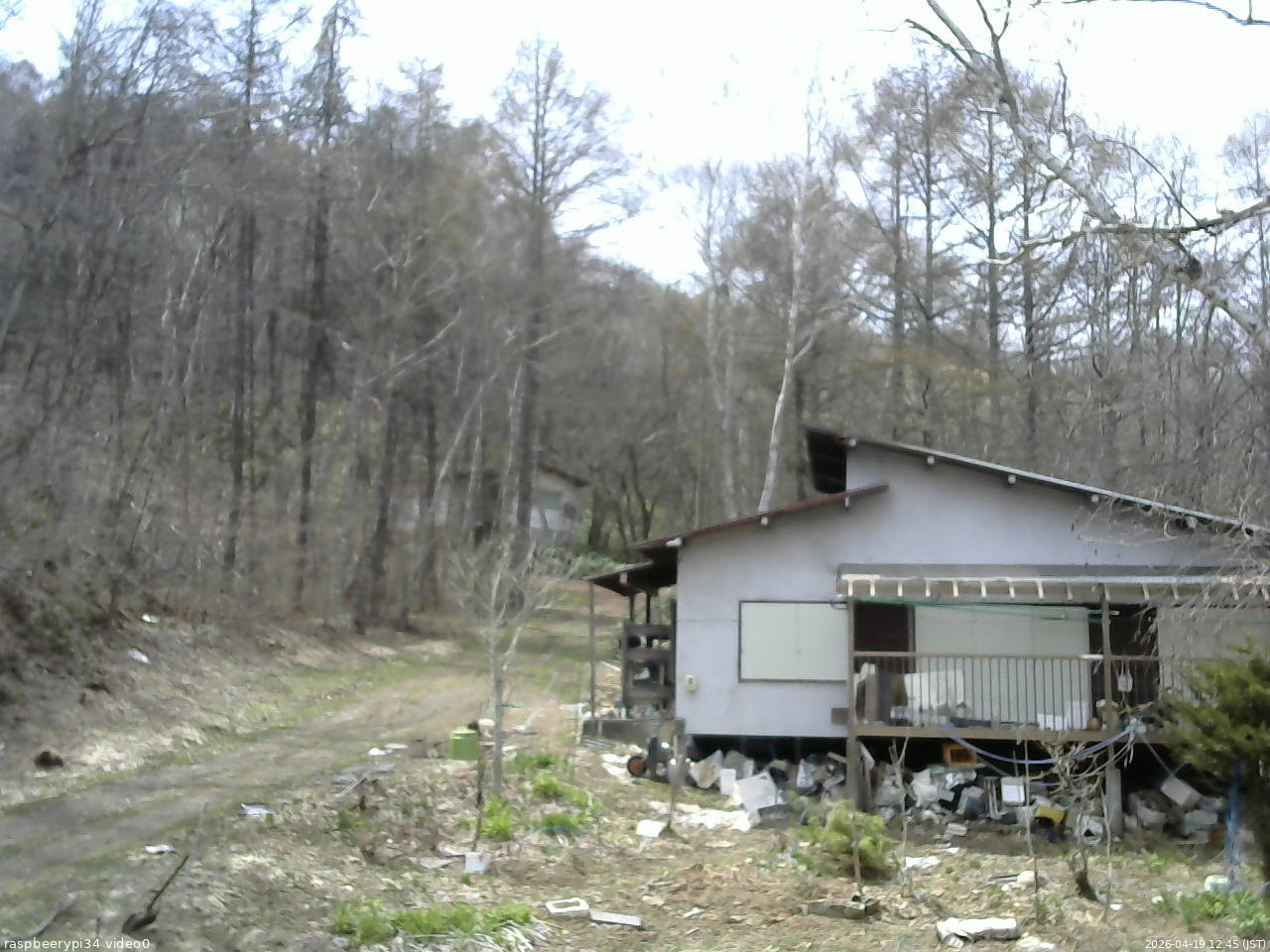 長野県菅平高原 ゆたか山荘 西側(坂上) 2026/04/19 12:45
