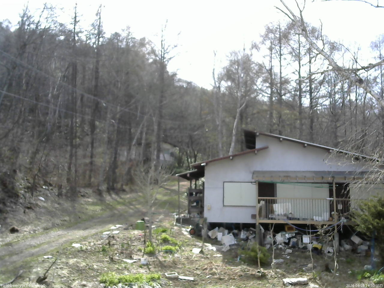 長野県菅平高原 ゆたか山荘 西側(坂上) 2026/04/19 14:30
