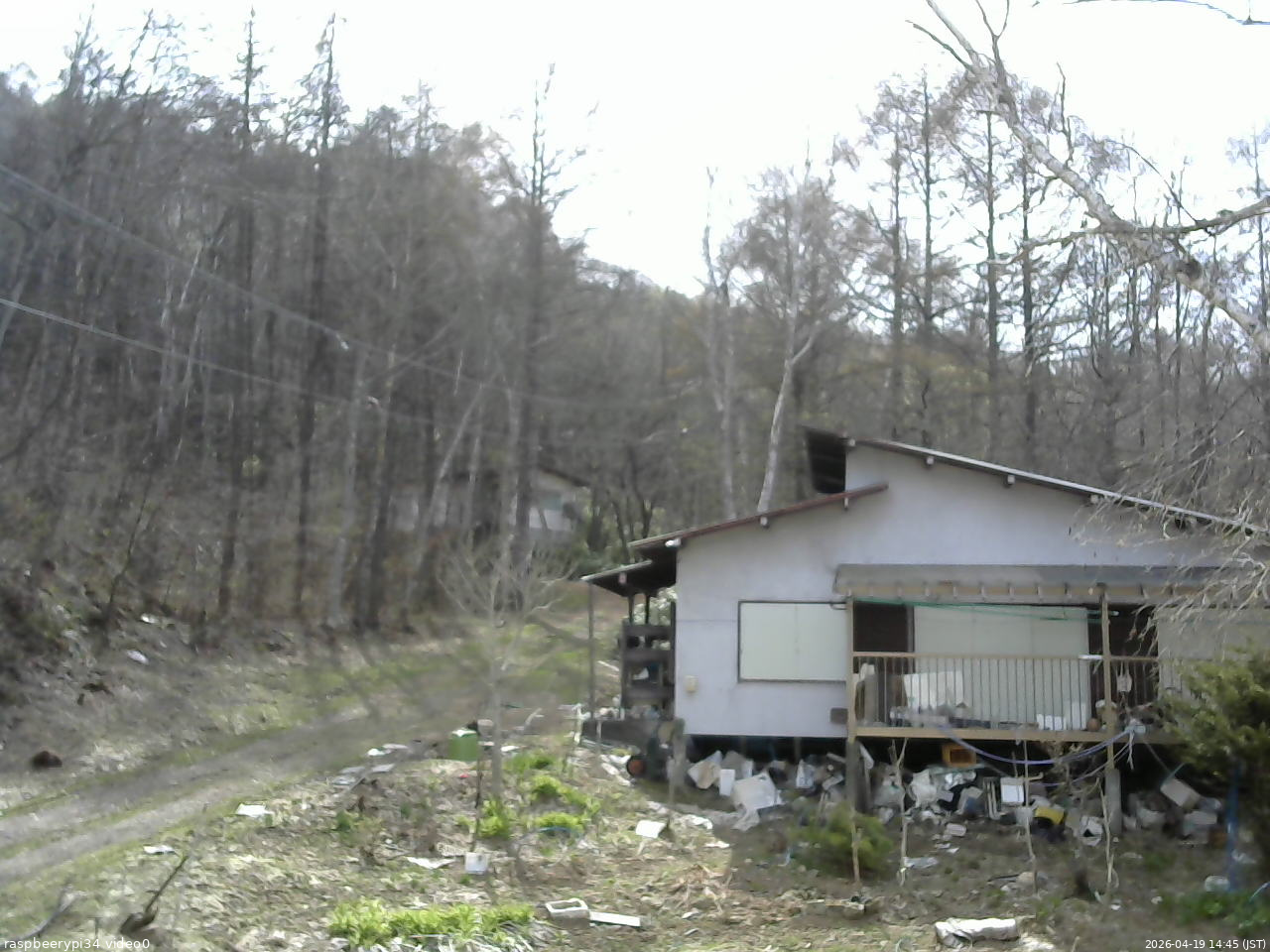 長野県菅平高原 ゆたか山荘 西側(坂上) 2026/04/19 14:45
