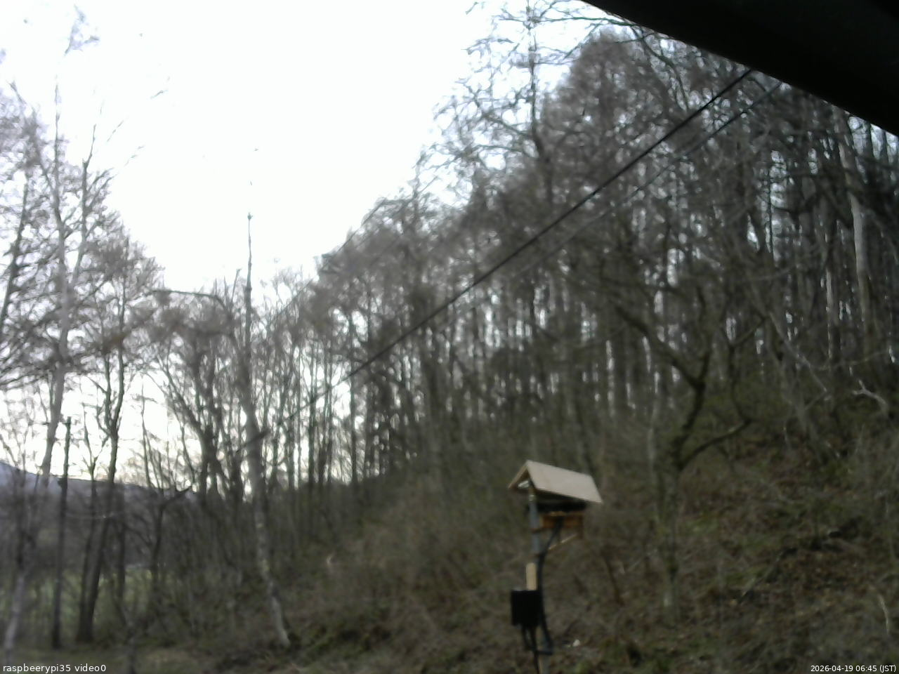 長野県菅平高原 ゆたか山荘 温度計 2026/04/19 06:45
