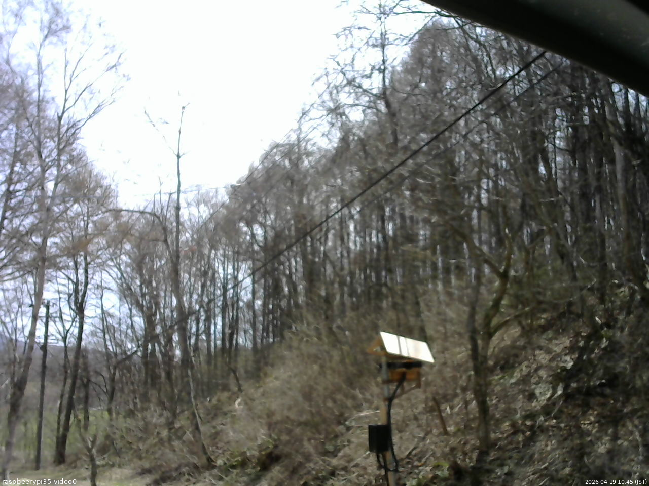 長野県菅平高原 ゆたか山荘 温度計 2026/04/19 10:45