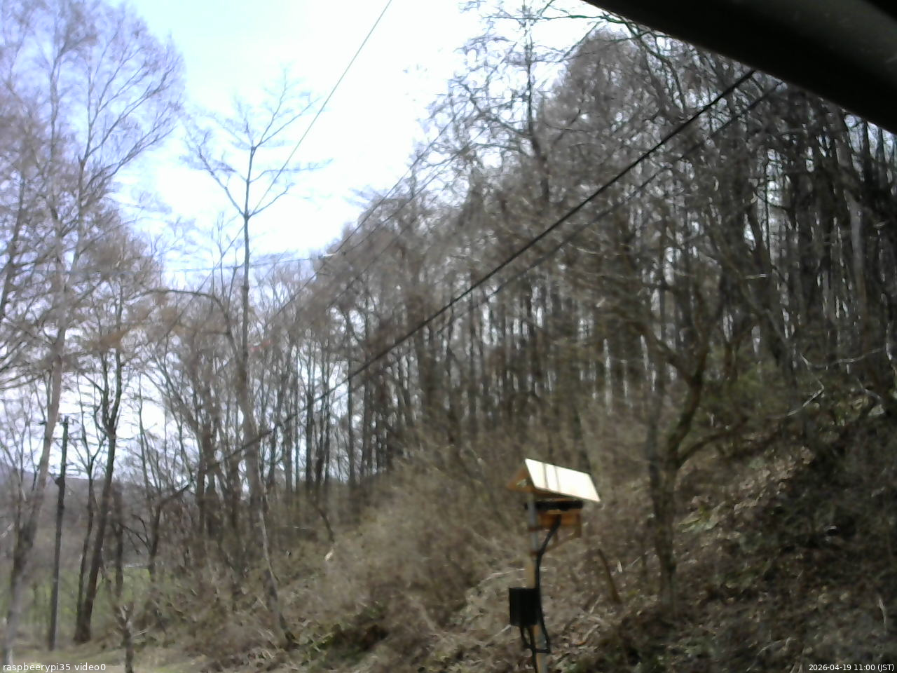 長野県菅平高原 ゆたか山荘 温度計 2026/04/19 11:00