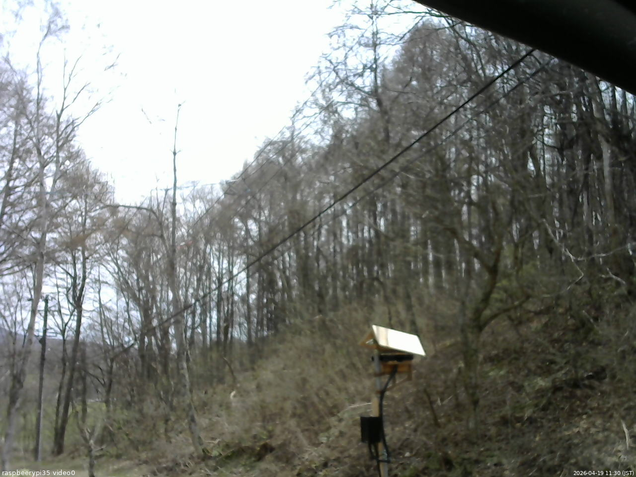 長野県菅平高原 ゆたか山荘 温度計 2026/04/19 11:30