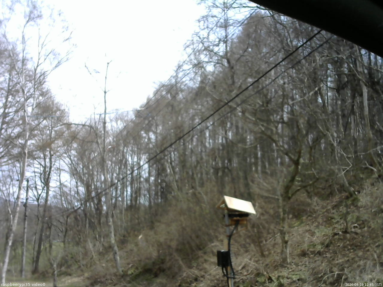 長野県菅平高原 ゆたか山荘 温度計 2026/04/19 12:45