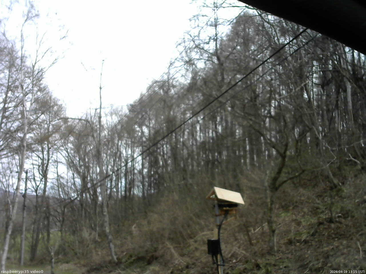 長野県菅平高原 ゆたか山荘 温度計 2026/04/19 13:15