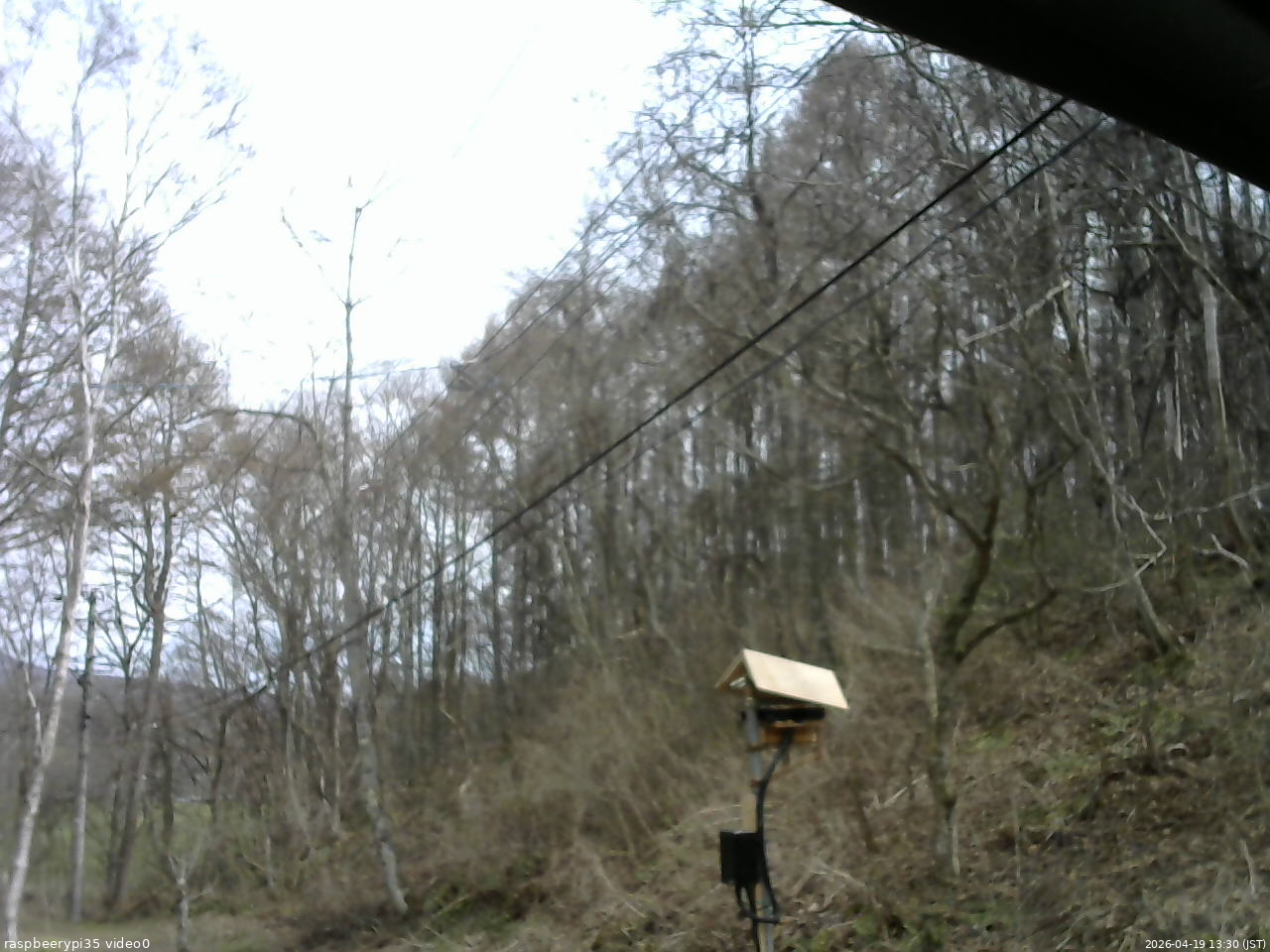長野県菅平高原 ゆたか山荘 温度計 2026/04/19 13:30