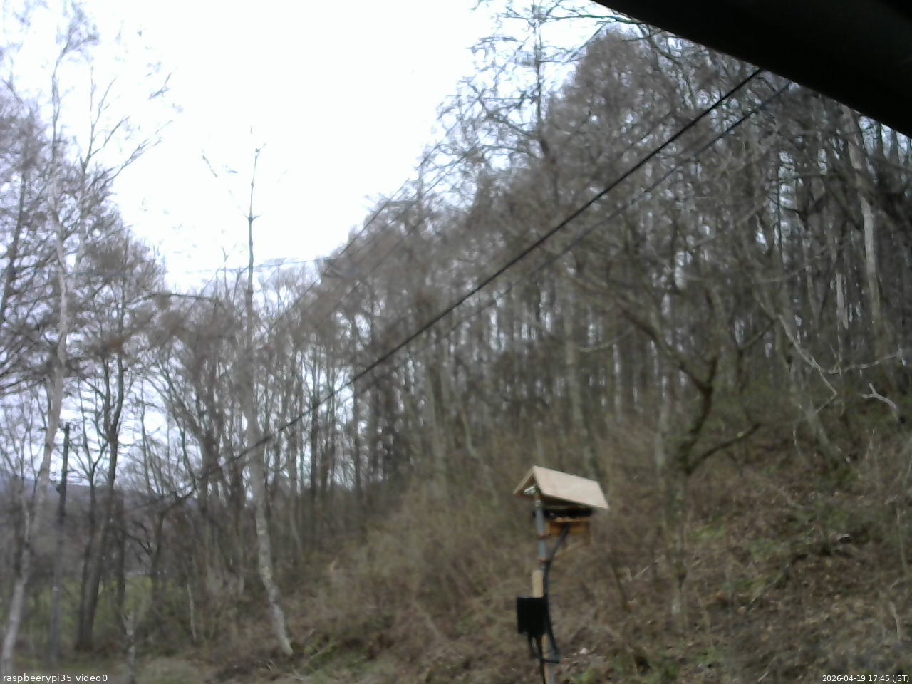 長野県菅平高原 ゆたか山荘 温度計 2026/04/19 17:45