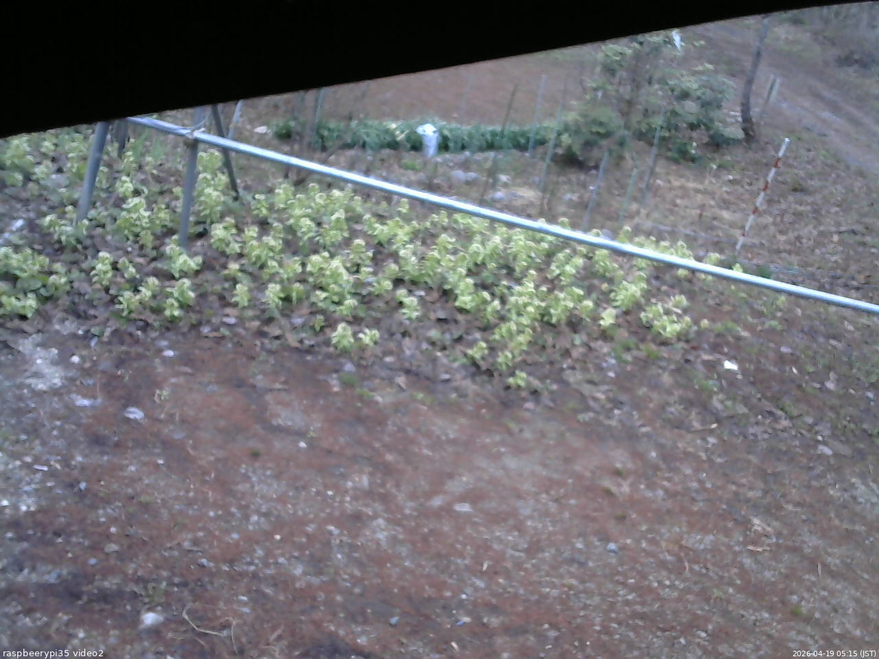 長野県菅平高原 ゆたか山荘 駐車場 2026/04/19 05:15