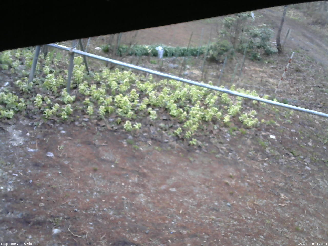 長野県菅平高原 ゆたか山荘 駐車場 2026/04/19 05:45