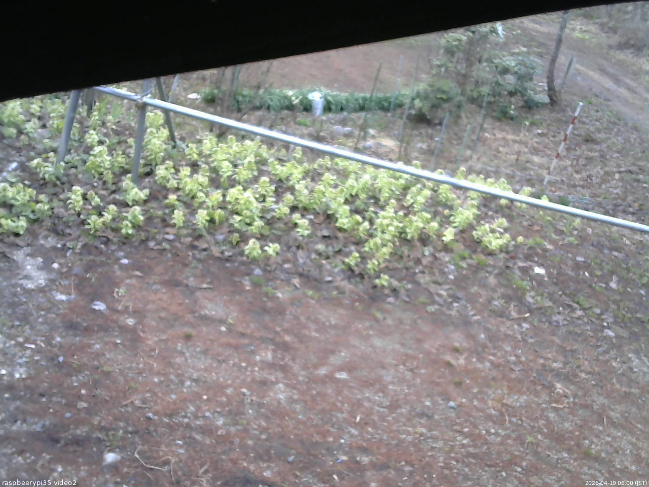 長野県菅平高原 ゆたか山荘 駐車場 2026/04/19 06:00