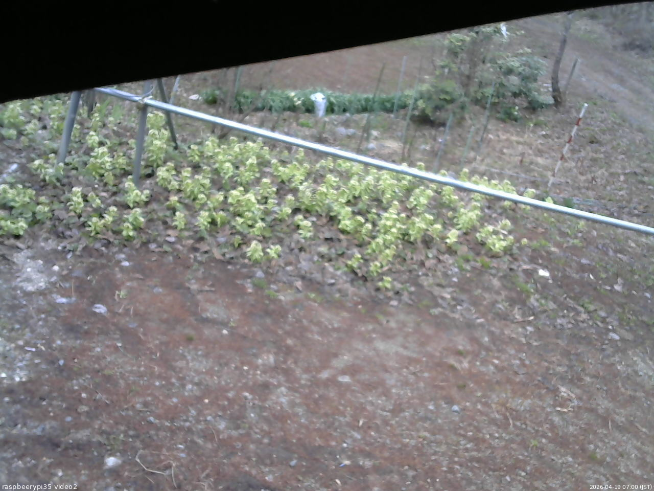 長野県菅平高原 ゆたか山荘 駐車場 2026/04/19 07:00