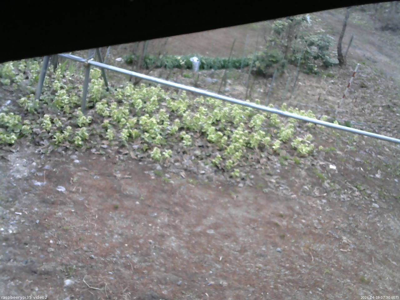 長野県菅平高原 ゆたか山荘 駐車場 2026/04/19 07:30