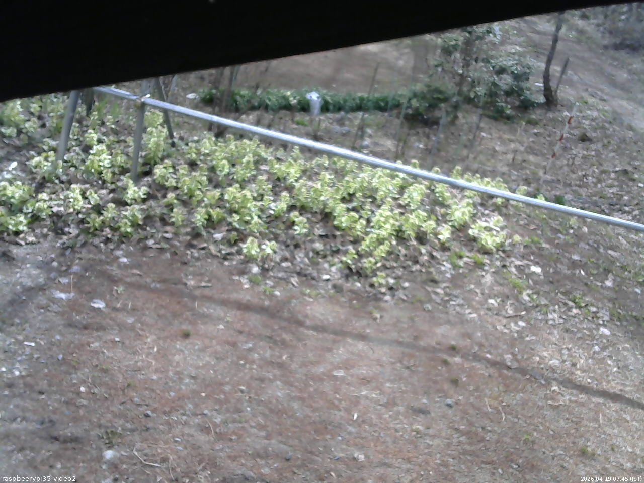 長野県菅平高原 ゆたか山荘 駐車場 2026/04/19 07:45