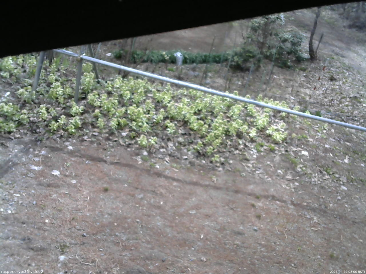 長野県菅平高原 ゆたか山荘 駐車場 2026/04/19 08:00