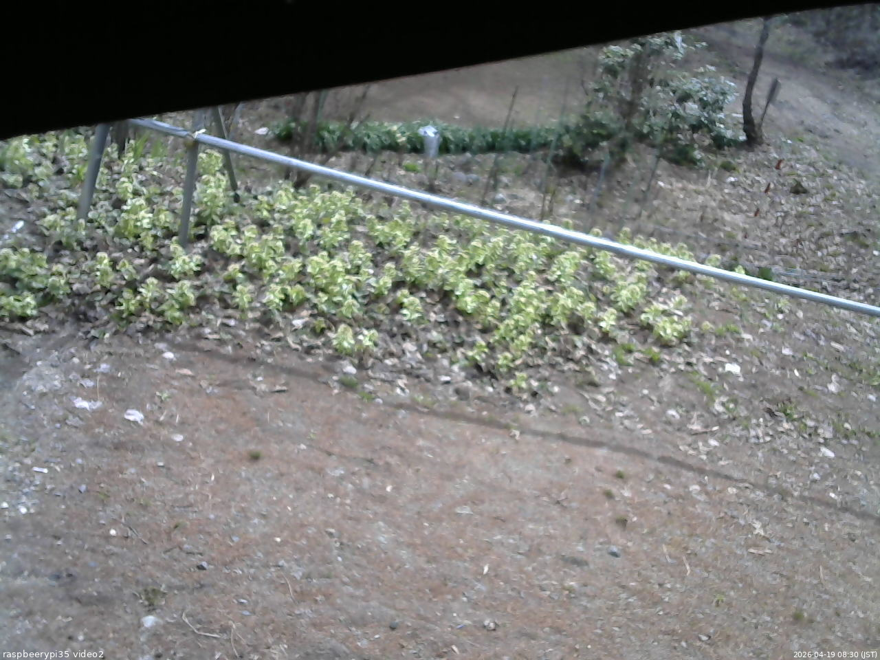 長野県菅平高原 ゆたか山荘 駐車場 2026/04/19 08:30