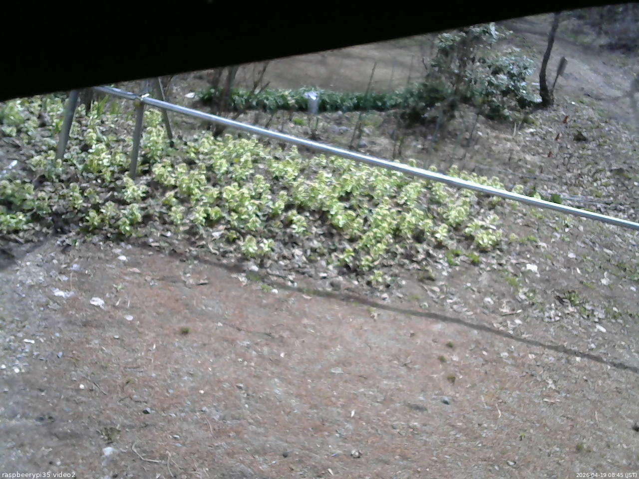 長野県菅平高原 ゆたか山荘 駐車場 2026/04/19 08:45