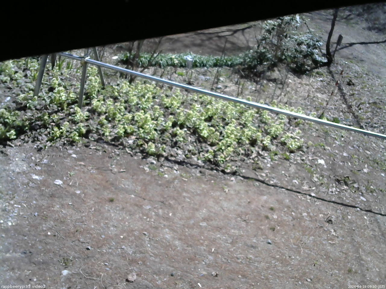 長野県菅平高原 ゆたか山荘 駐車場 2026/04/19 09:30