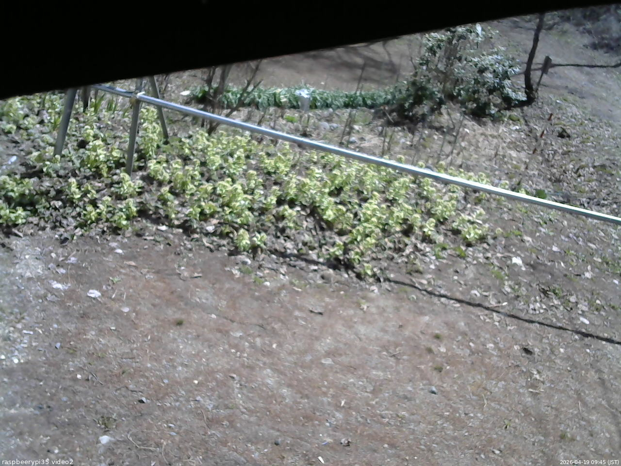 長野県菅平高原 ゆたか山荘 駐車場 2026/04/19 09:45