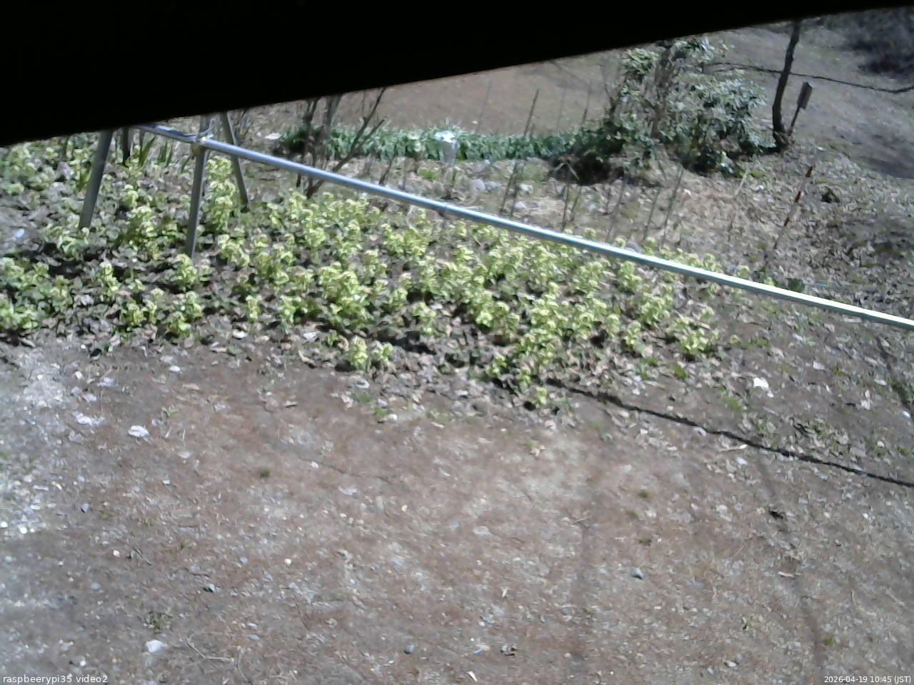 長野県菅平高原 ゆたか山荘 駐車場 2026/04/19 10:45
