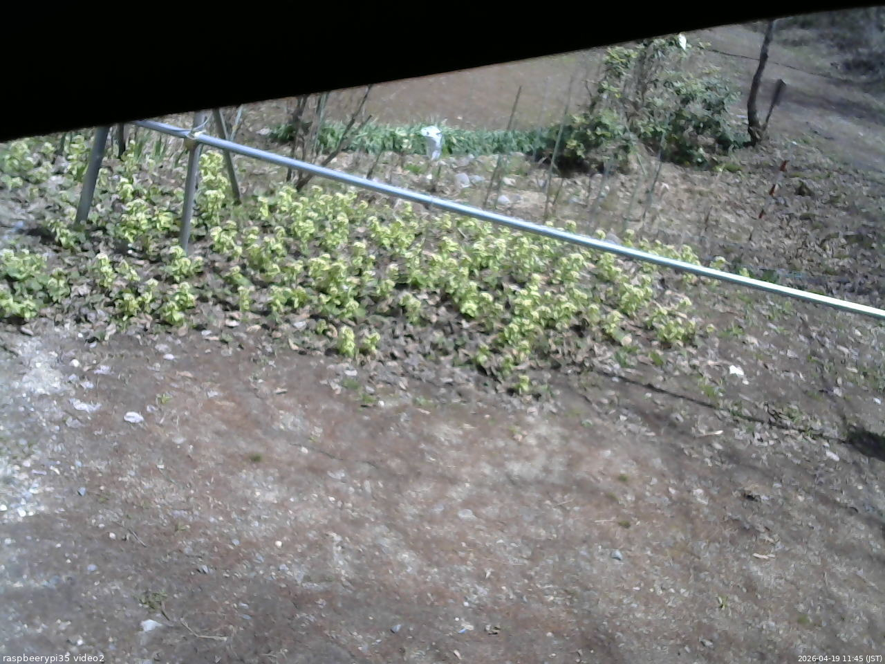 長野県菅平高原 ゆたか山荘 駐車場 2026/04/19 11:45