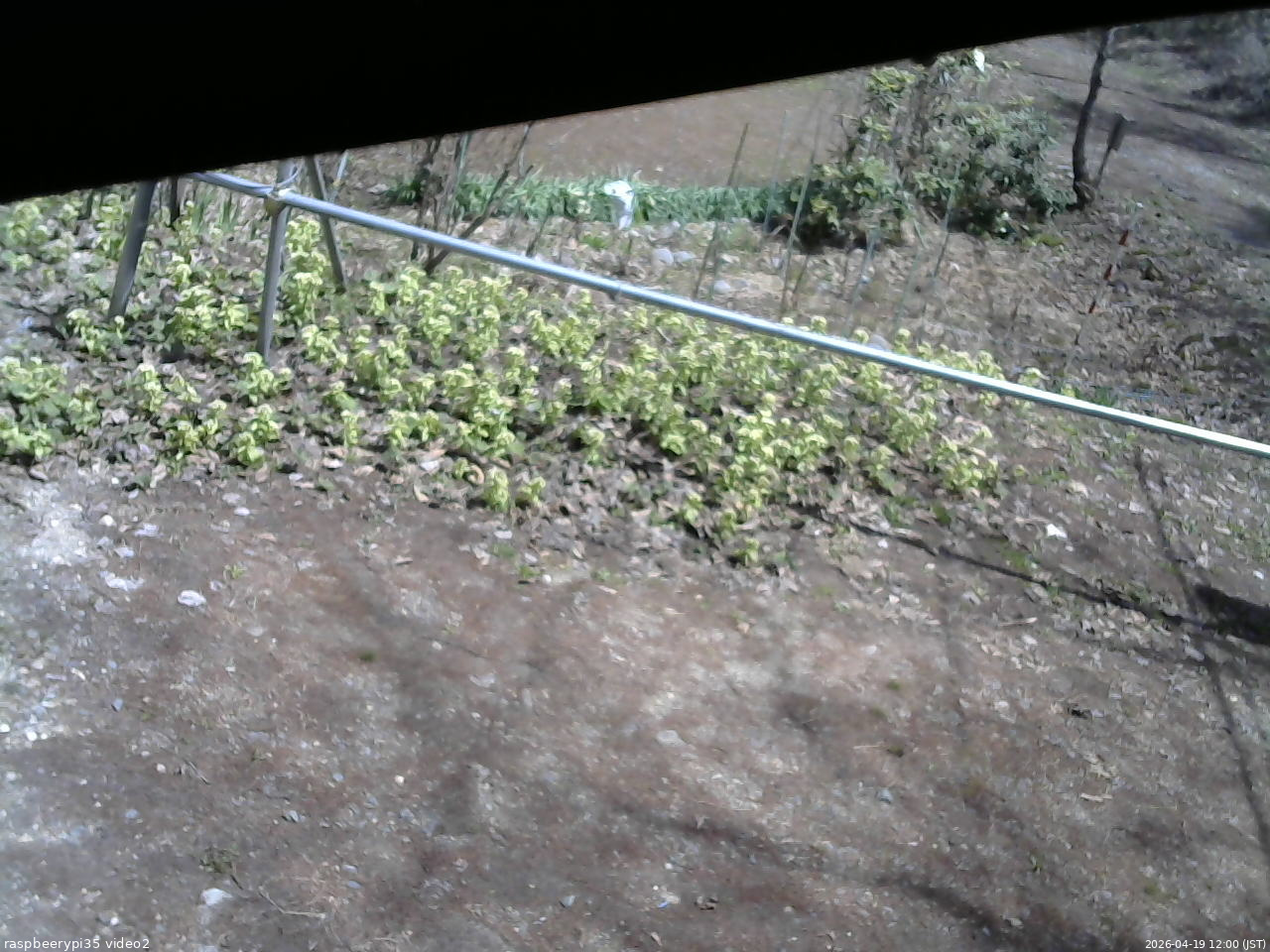 長野県菅平高原 ゆたか山荘 駐車場 2026/04/19 12:00