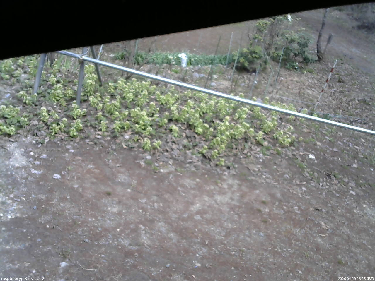 長野県菅平高原 ゆたか山荘 駐車場 2026/04/19 13:15