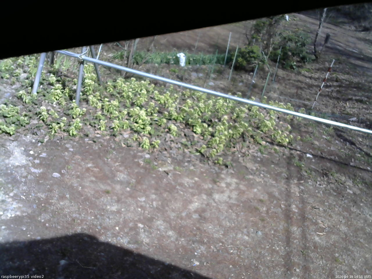 長野県菅平高原 ゆたか山荘 駐車場 2026/04/19 14:15