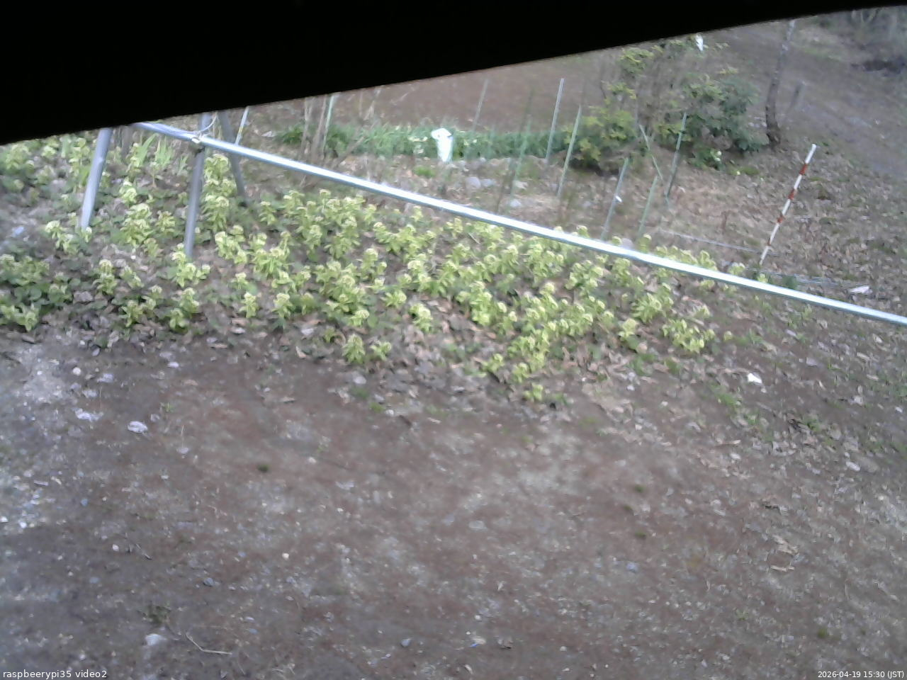 長野県菅平高原 ゆたか山荘 駐車場 2026/04/19 15:30
