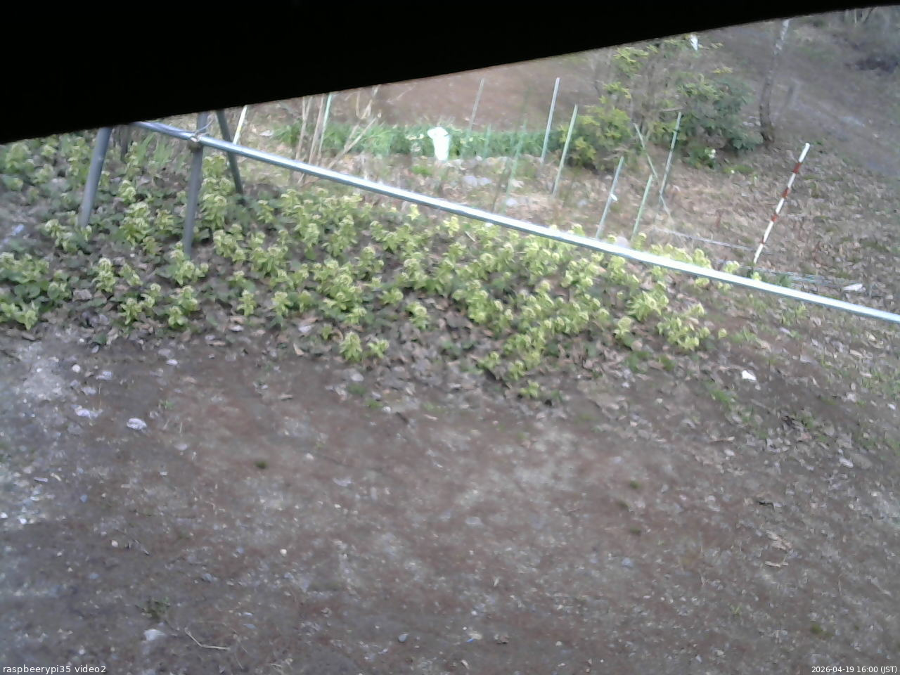 長野県菅平高原 ゆたか山荘 駐車場 2026/04/19 16:00