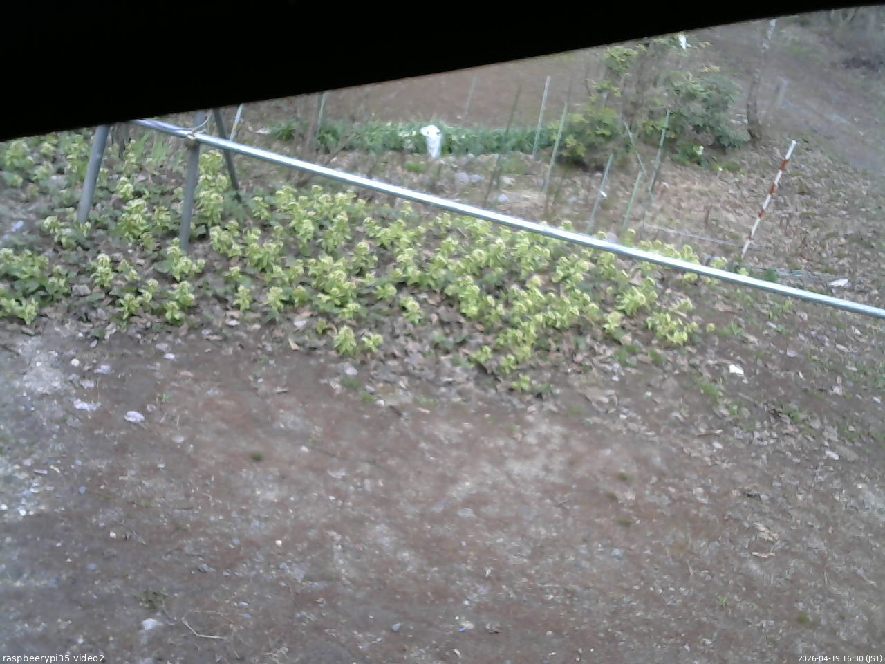 長野県菅平高原 ゆたか山荘 駐車場 2026/04/19 16:30